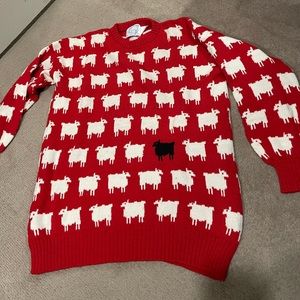 Warm and Wonderful Princess Diana Sheep Sweater